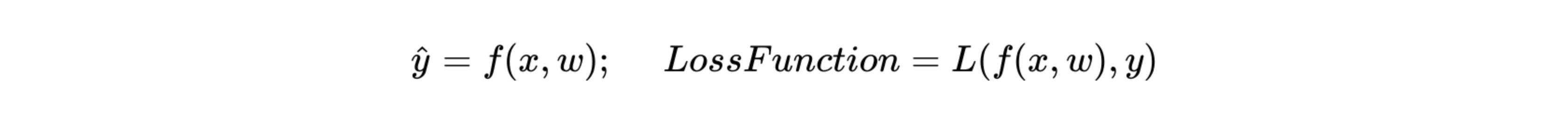 Loss Function